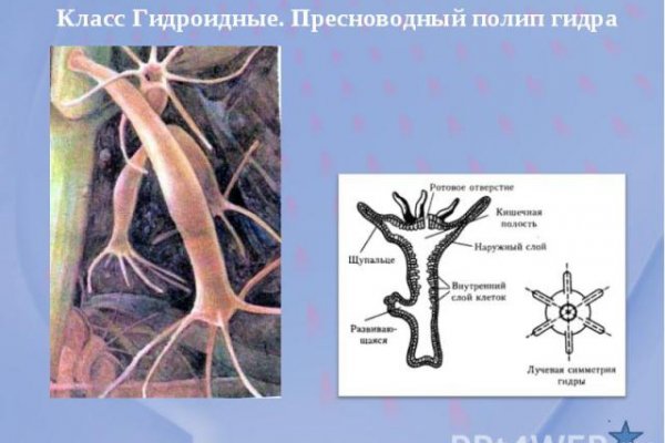 Зеркало на кракен