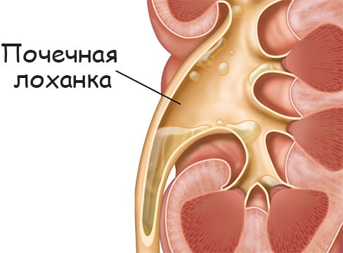 Кракен макет плейс